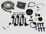 (image for) 1984-89 3.2 Carrera conversion kit, Haltech Nexus S3, COP Ignition