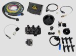 (image for) 1984-89 Carrera EFI Conversion Kit, Haltech Nexus S3, Coil Pack