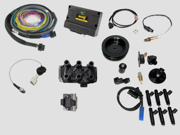 (image for) 1984-89 Carrera EFI Conversion Kit, Haltech Nexus S3, Coil Pack
